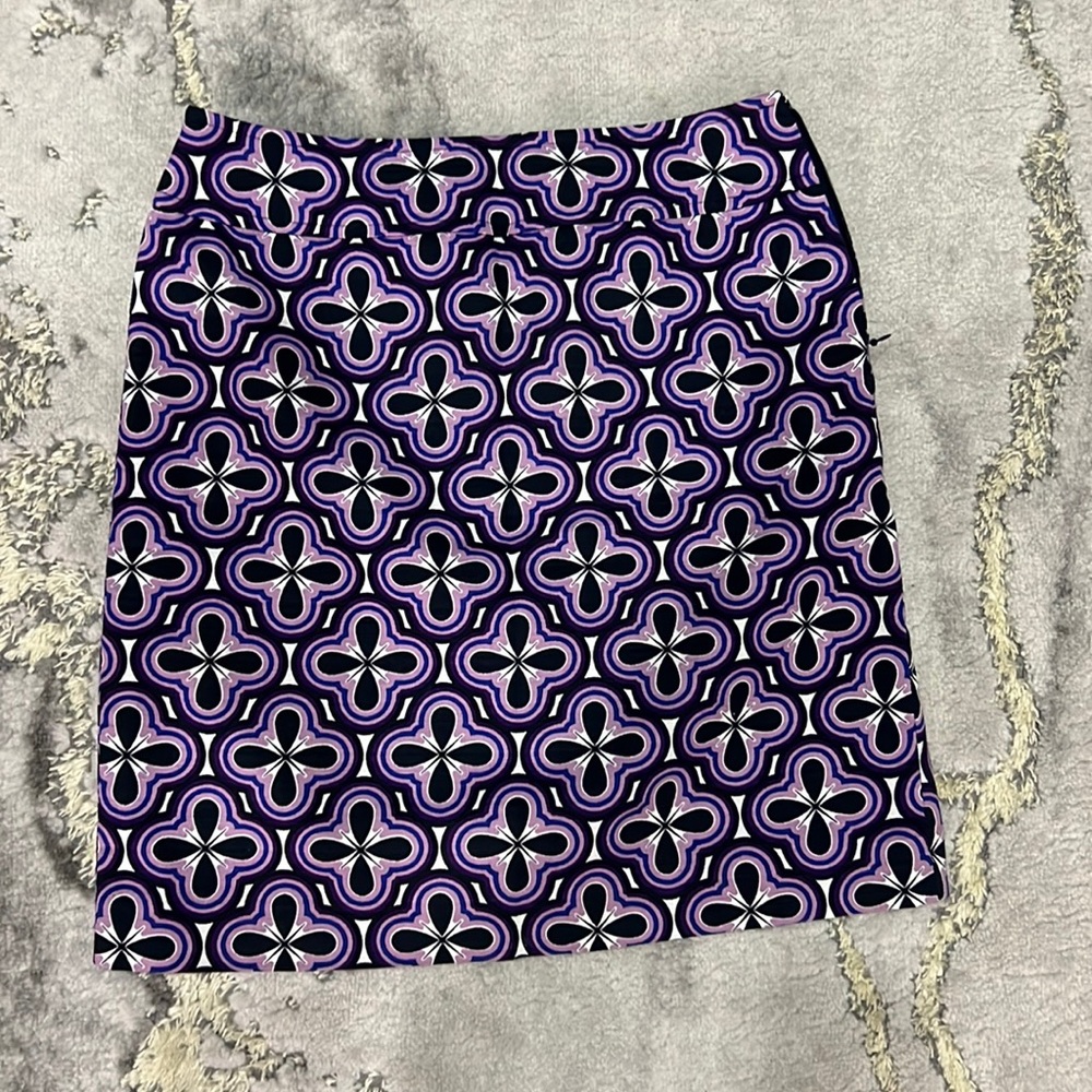 Ann Taylor skirt